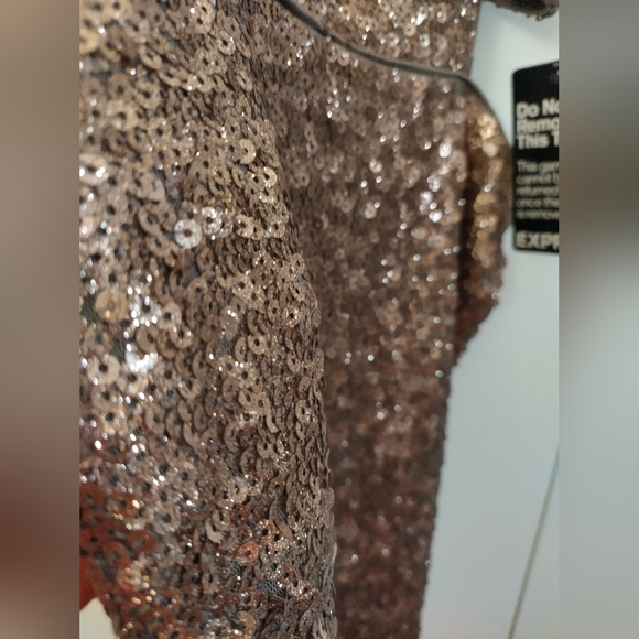 Express Shimmery Sequin Dress NWT - Picture 5 of 10